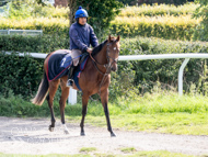 HC240925-4 - Rousham
